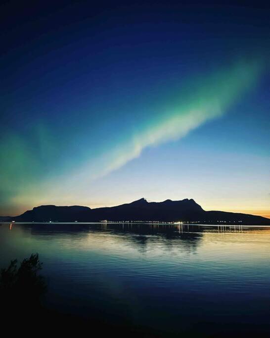 The Midnight Sun