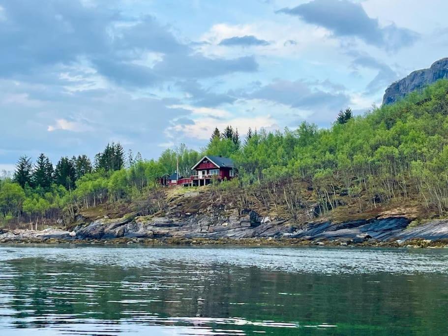 The Midnight Sun *