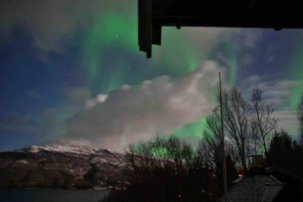 The Midnight Sun * Gratangen